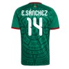 Mexico Erick Sanchez #14 Hjemmedrakt VM 2026 Kortermet